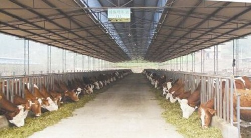 关于→宾川县第一完全中学监控系统采购安装项目